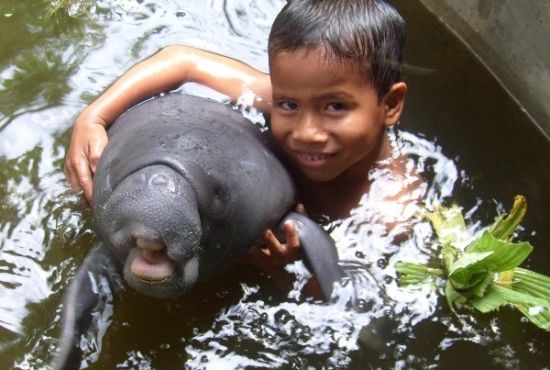 The Amazon Rescue Center