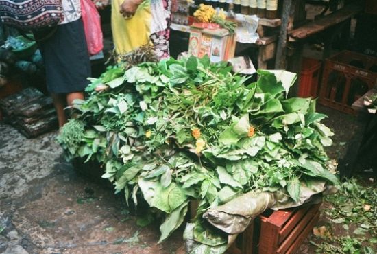 Herbs, Drinks and other charms